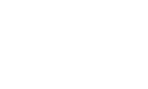 logo-bcg